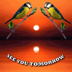 See You Tomorrow Love Birds Sunset