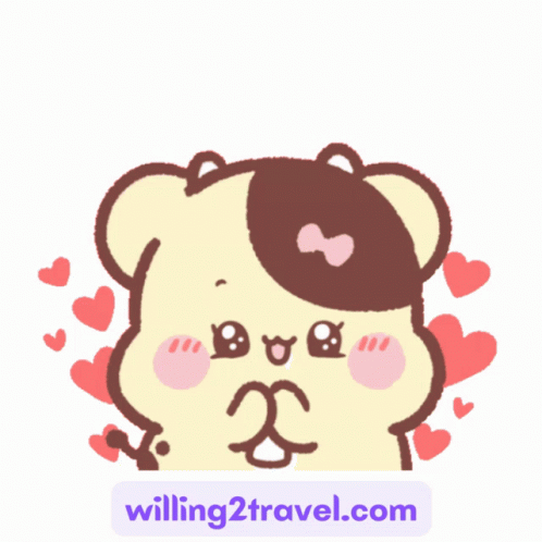 Cute Bear Says Hi Hello