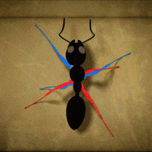 Animated Ant Walking with Colored Legs