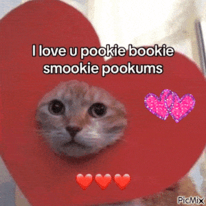 Cute Orange Cat: I Love You Pookie Bookie Smookie Pookums