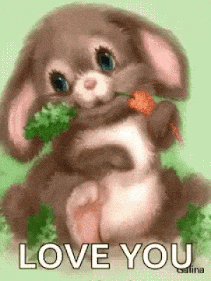 Bunny Love You