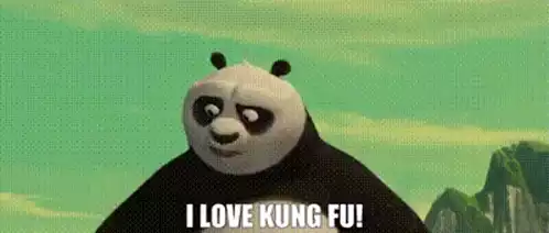 Kung Fu Panda Po: I Love Kung Fu!