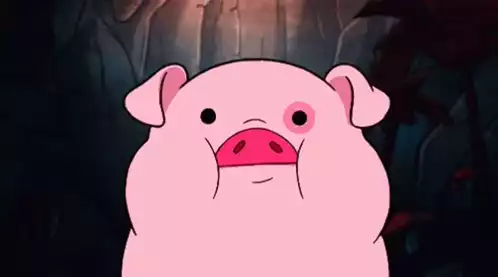 Waddles the Pig Laughing Funny