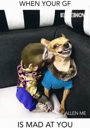 Let Me Love You