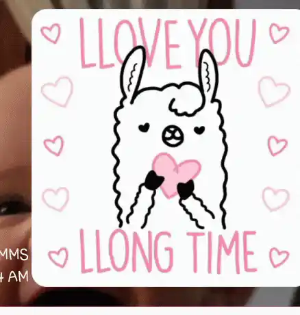 I Love You Llong Time Llama