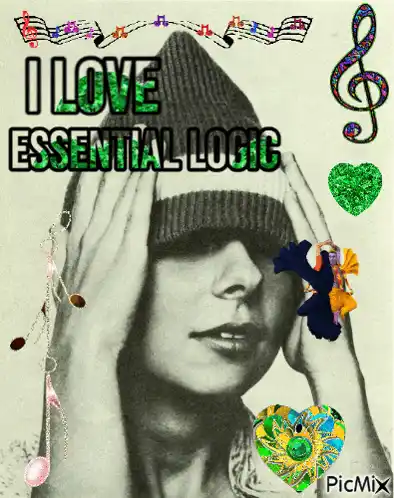 Lora Logic: I Love Essential Logic Poster