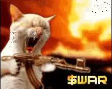 Love And War Defi War Token: Cat with Gun