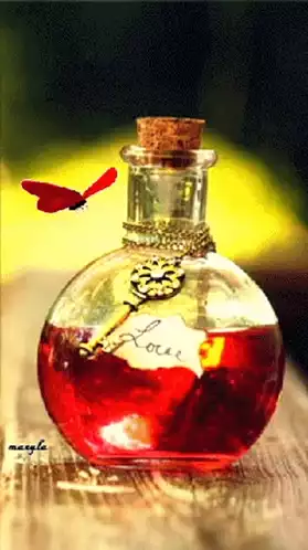 Love Potion Bottle with Key and Butterfly