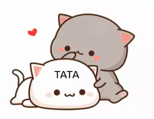 Love Cute Cats: Tata