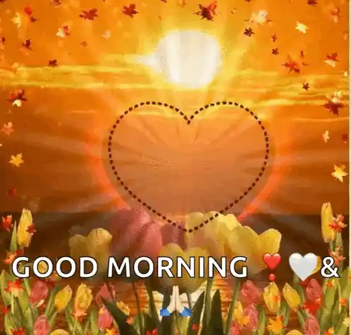Love Heart