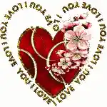 Love Heart with 'I Love You' Text and Flowers