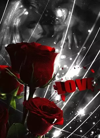 Love I Love You: Romantic Roses
