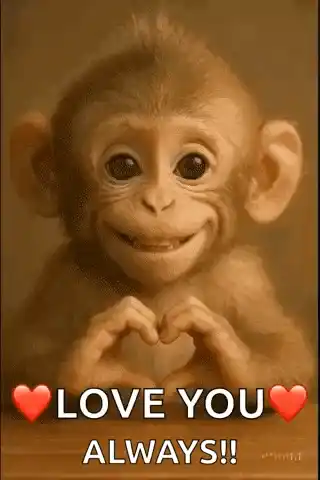 Love I Love You