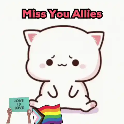 Cute Cat: Miss You Allies, Love Is Love
