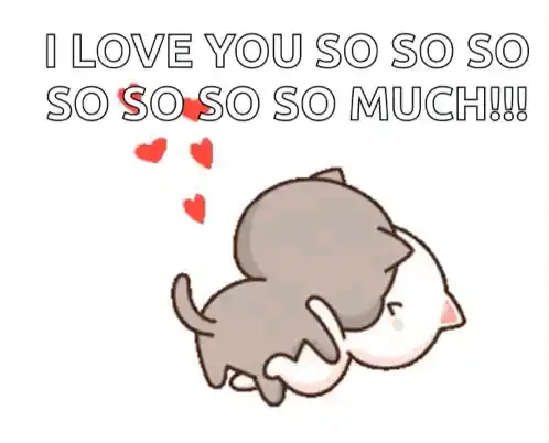 Cute Cats Love Kiss