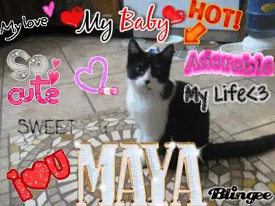 Love Maya