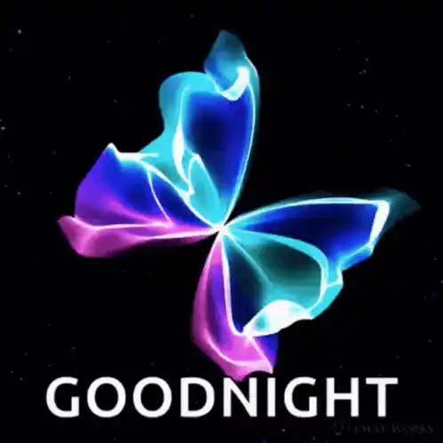 Goodnight Butterfly: Love Night
