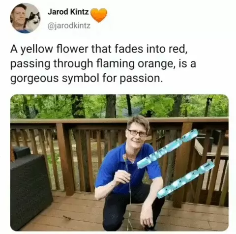 Love Passion