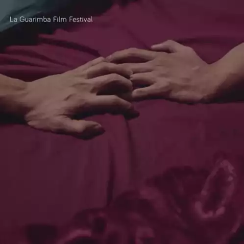 Romantic Hand Holding: A Cute Love Reaction