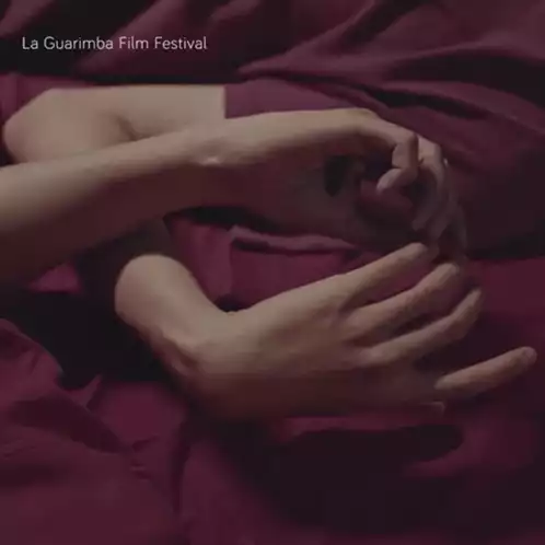 Love Reaction: La Guarimba Film Festival