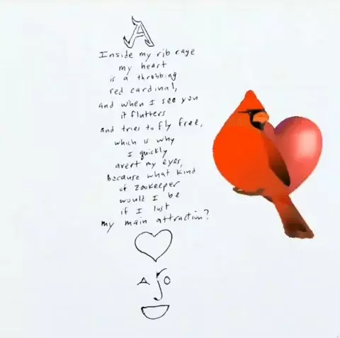 Love Poem: My Heart, A Red Cardinal