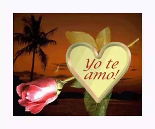 Romantic 'Yo Te Amo' with Rose and Sunset