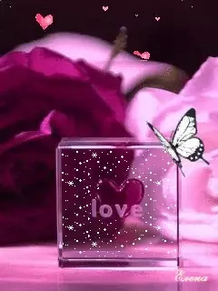 Love You