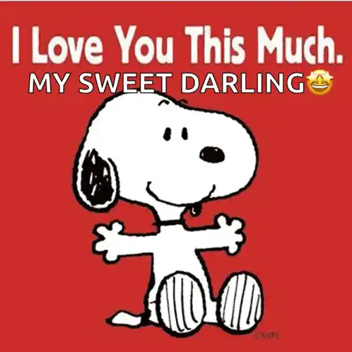Snoopy: I Love You This Much My Sweet Darling