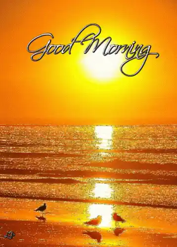 Good Morning Love You