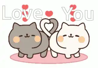 Cute Cats Make Heart with Tails - Love You