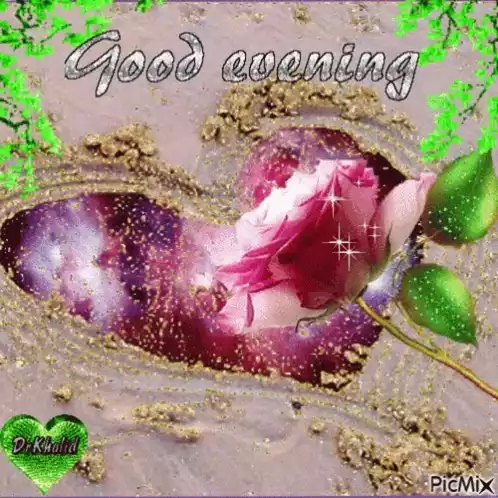 Love You Good Evening Rose Heart Card