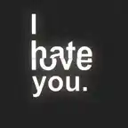 Love You Hate You