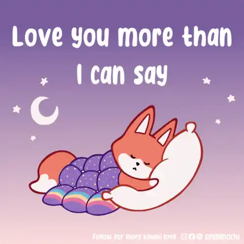 Love You More Than I Can Say - Cute Sleeping Fox