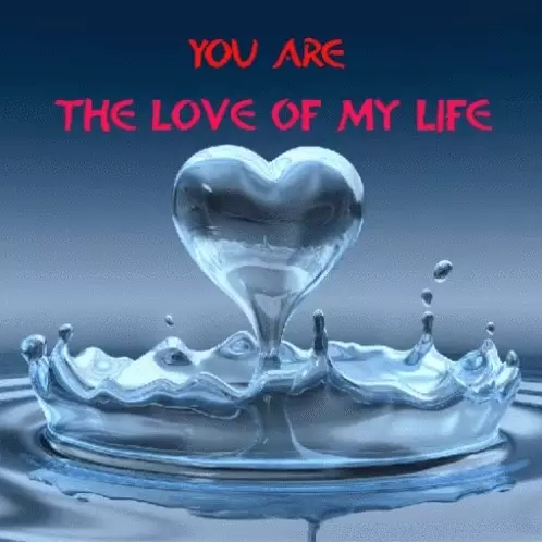 You Are The Love Of My Life Heart
