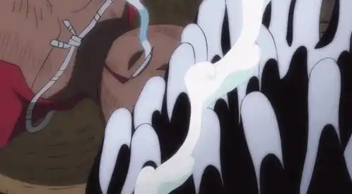 One Piece: Luffy's Joy Boy Smile
