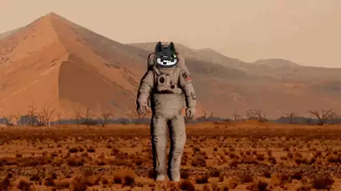Mars Cats Voyage: Astronaut Cat Walk