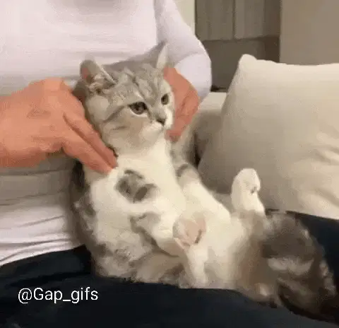 ماساژ