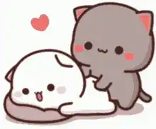 Cute Cats Body Massage