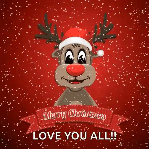 Merry Christmas Reindeer Love You All