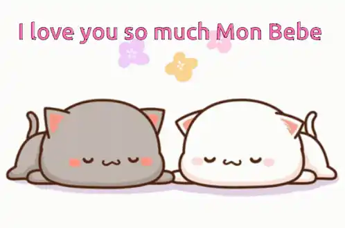 I Love You So Much Mon Bebe Cats