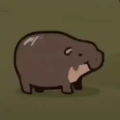 Moodeng the Pygmy Hippo's Happy Dance
