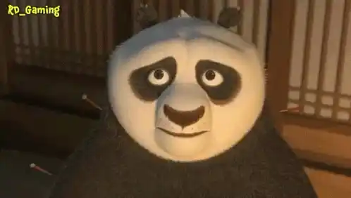 Moongnome Kung Fu Panda Funny Face