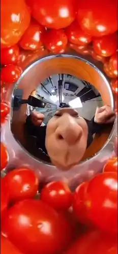 Funny 360 Mukbang: Eating Cherry Tomatoes
