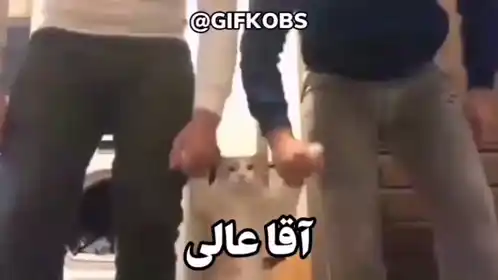 میم فارسی آقا عالی