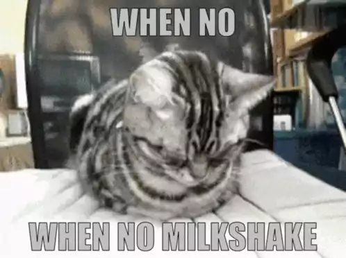 Sad Cat: When No Milkshake
