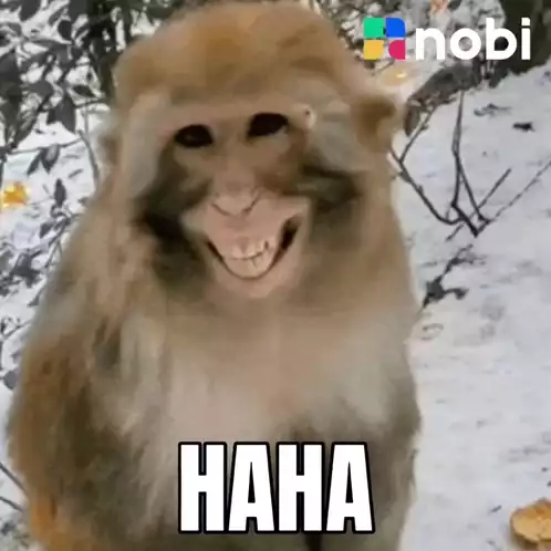 Nobi Pintu: Funny Monkey HAHA