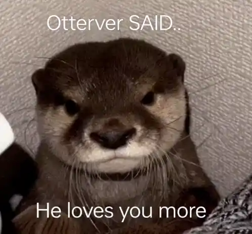 Otter Love Otters