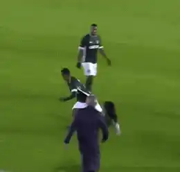 Palmeiras Football: Dog Chases Player Funny