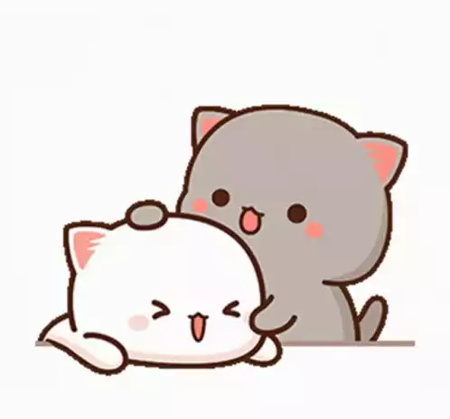 Cute Peach Goma Cats