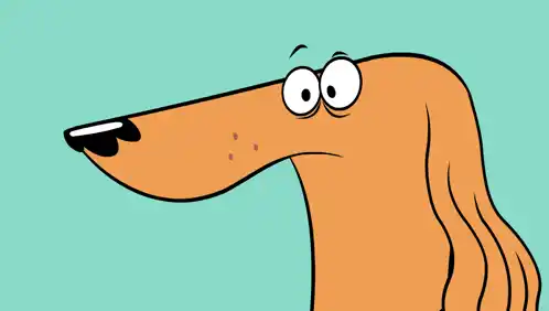Funny Dog Reaction: What On Earth Is That?